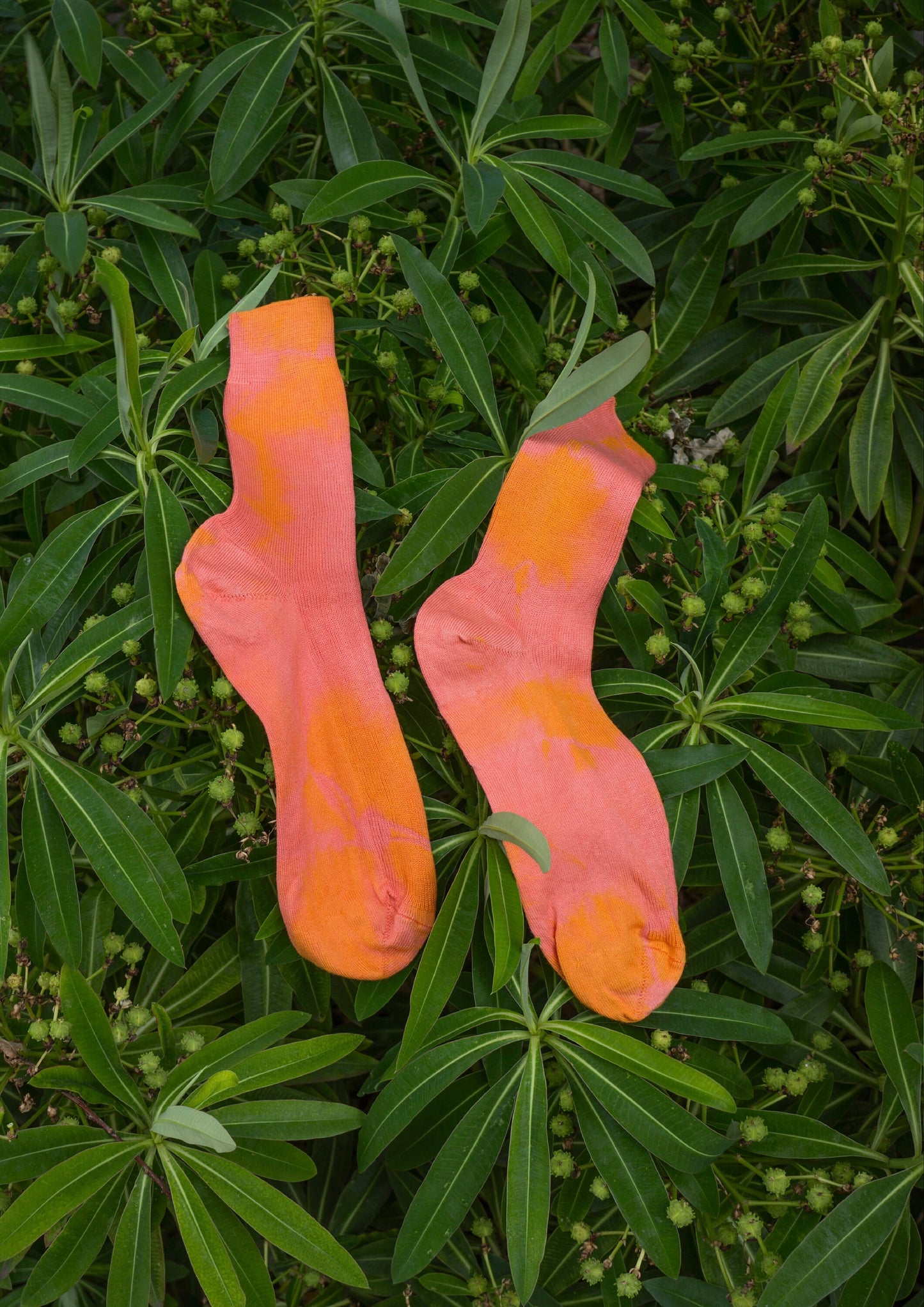 Safflower Cotton Socks